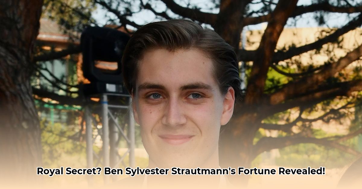 ben-sylvester-strautmann-net-worth